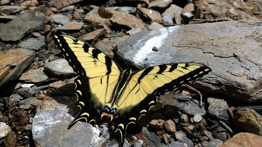 Park «Smith Lake Park», reviews and photos, 370 Doc Stone Rd, Stafford, VA 22556, USA