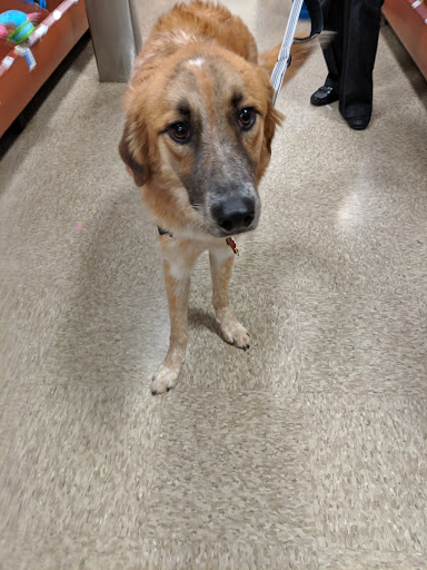 Pet Supply Store «PetSmart», reviews and photos, 1203 N Landing Way, Renton, WA 98057, USA