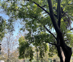 Parque Lincoln photo