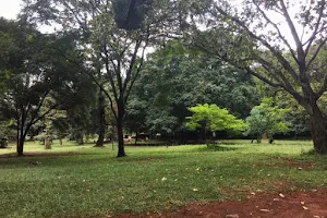 The Nairobi Arboretum image