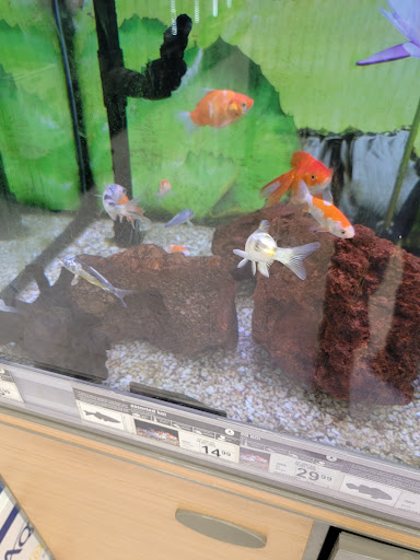 Pet Supply Store «Petco Animal Supplies», reviews and photos, 6137 Mid Rivers Mall Dr, St Charles, MO 63304, USA