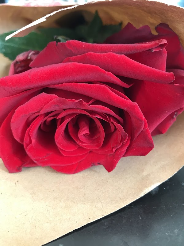Tania Brea Florista
