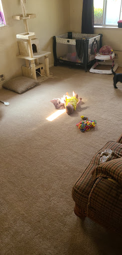 Flooring Store «United Carpet», reviews and photos, 340 Culver Rd, Rochester, NY 14607, USA