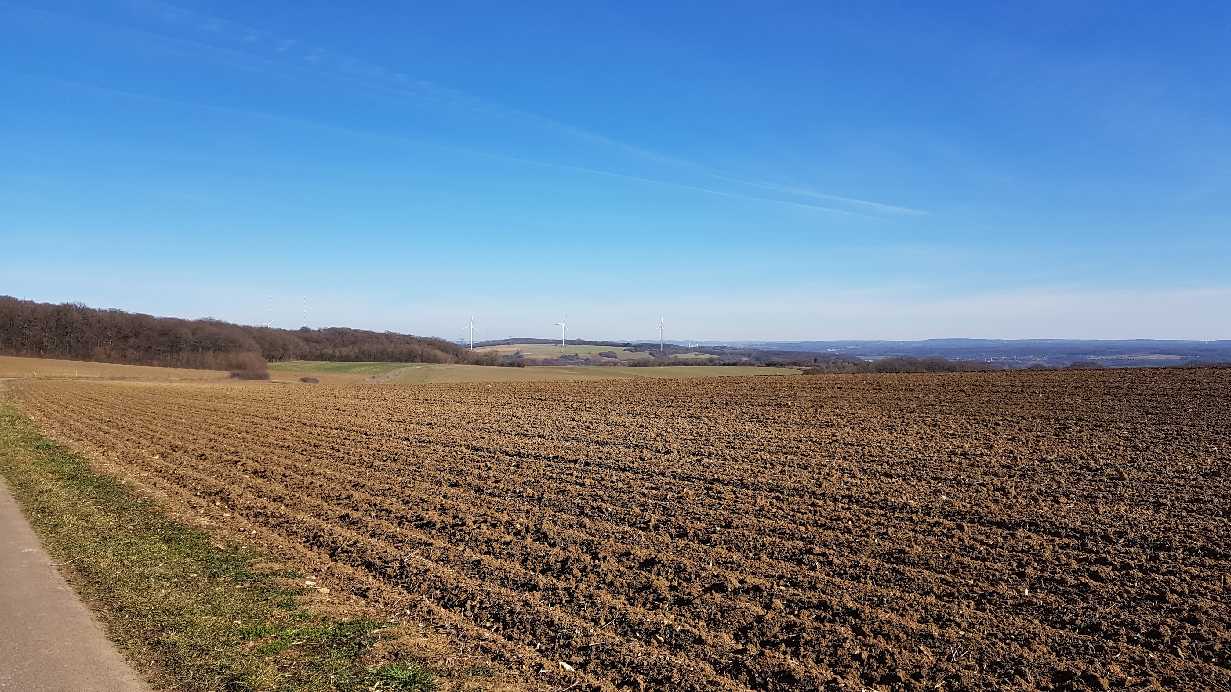 Photo n° 4 de l'avis de pierre.e fait le 26/02/2019 à 18:13