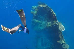 香港自由潛水俱樂部FreedivingClubOfHongKong image