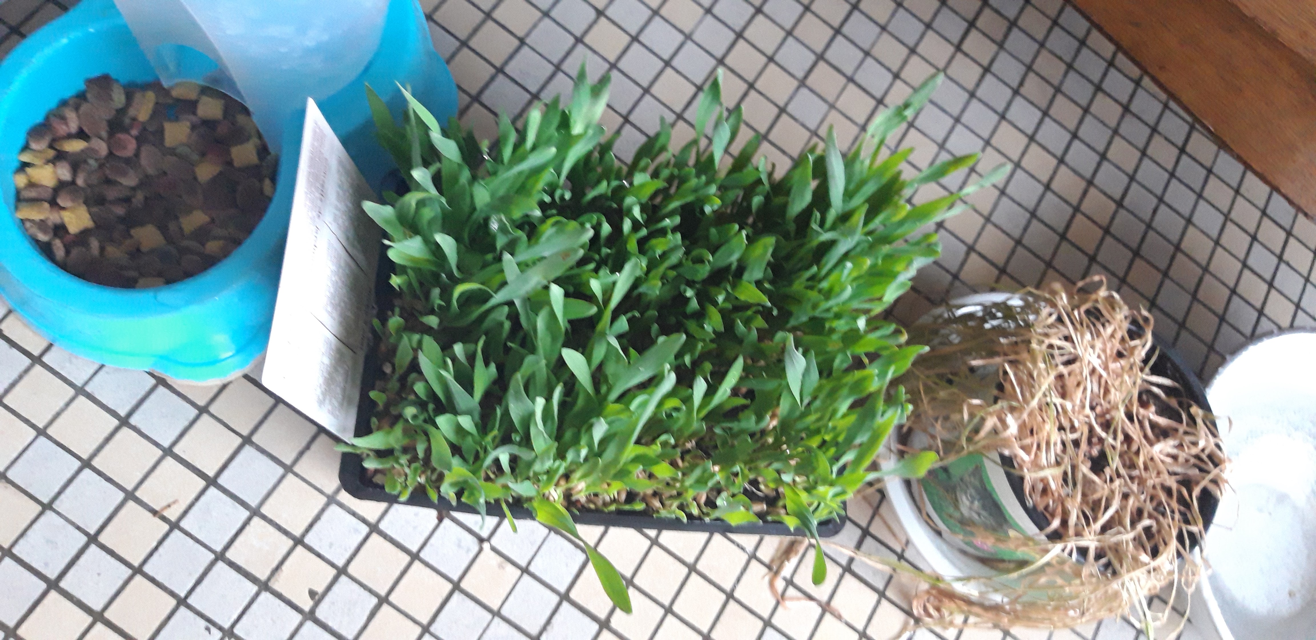 Photo n° 1 de l'avis de Laurenan.� fait le 15/06/2019 à 13:58