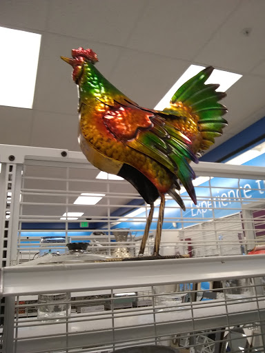 Clothing Store «Ross Dress for Less», reviews and photos, 455 S Wadsworth Blvd, Lakewood, CO 80226, USA