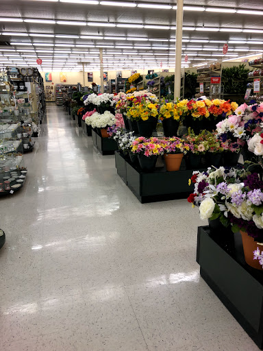 Craft Store «Hobby Lobby», reviews and photos, 2455 W International Speedway Blvd, Daytona Beach, FL 32114, USA