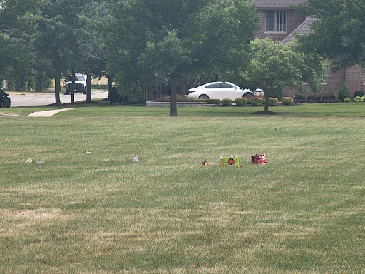 Municipality «South Pointe Park», reviews and photos, 5504 Switch Grass Ln, Naperville, IL 60564, USA