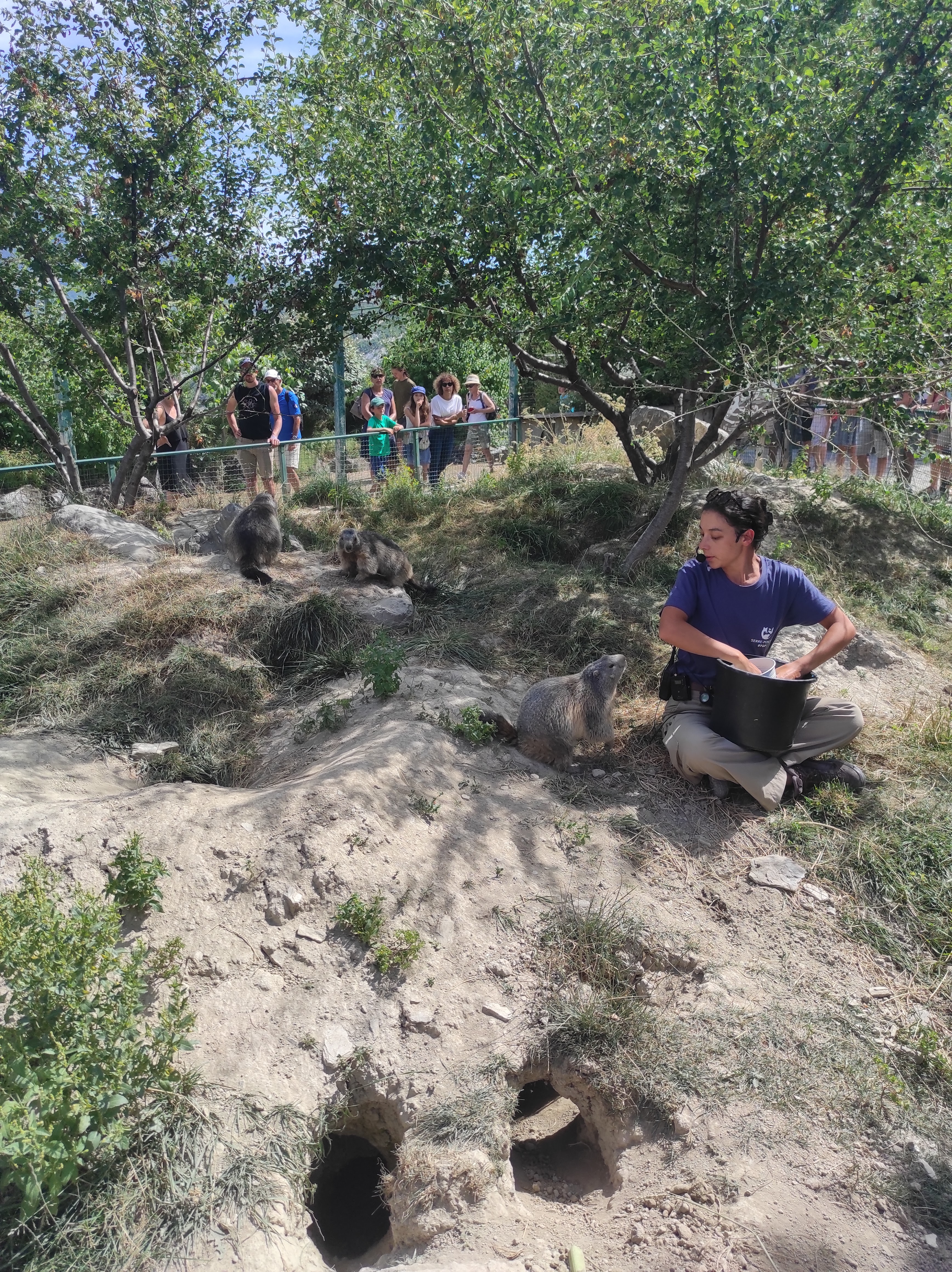 Photo n° 3 de l'avis de Christel.a fait le 18/08/2023 à 05:52