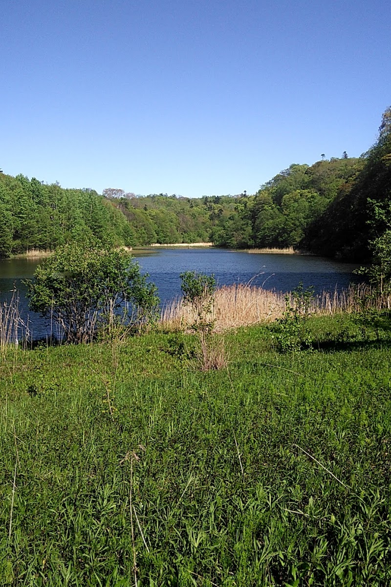 野幌森林公園