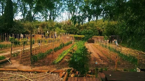 Épicerie Le Petit Jardin Potager de Mika Colombiers