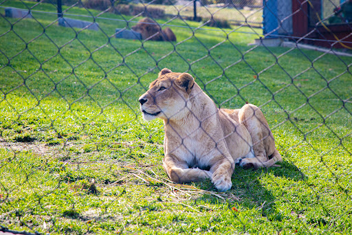 Zoo «Turtle Back Zoo», reviews and photos, 560 Northfield Ave, West Orange, NJ 07052, USA