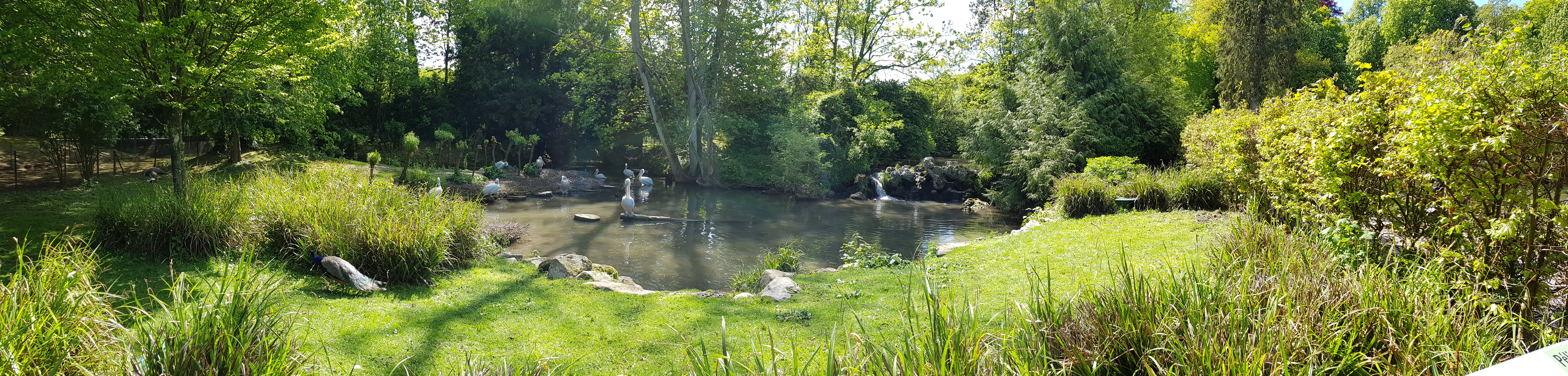 Photo n° 6 de l'avis de Tirlipinpon.u fait le 12/05/2019 à 18:48