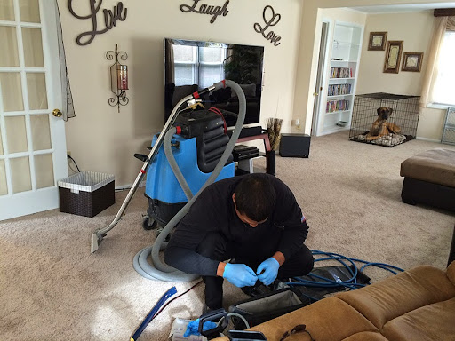Sunbird Upholstery Cleaning