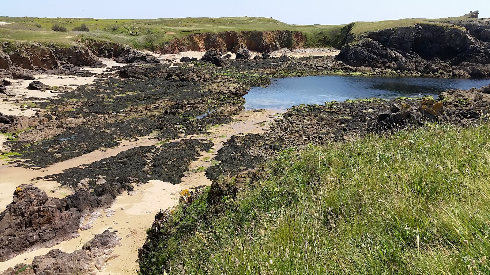 Plage des Fontaines'in fotoğrafı vahşi alan