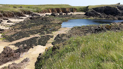 Plage des Fontaines'in fotoğrafı vahşi alan