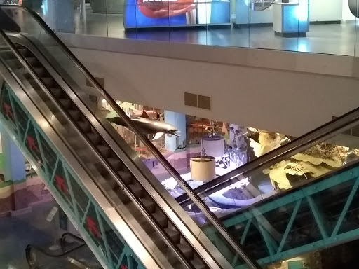 Imax Theater «AutoNation® IMAX 3D Theater», reviews and photos, 401 SW 2nd St, Fort Lauderdale, FL 33312, USA