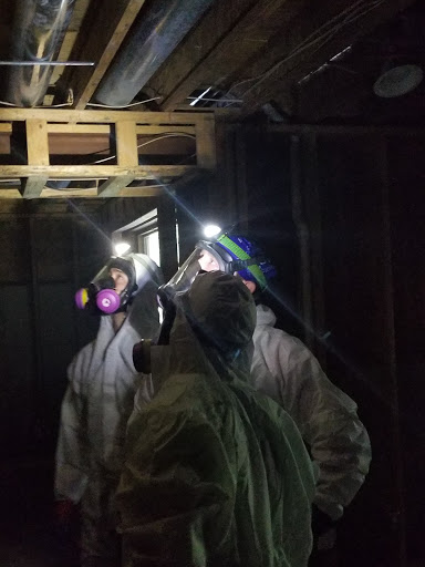 Water Damage Restoration Service «FreshStart Restoration», reviews and photos