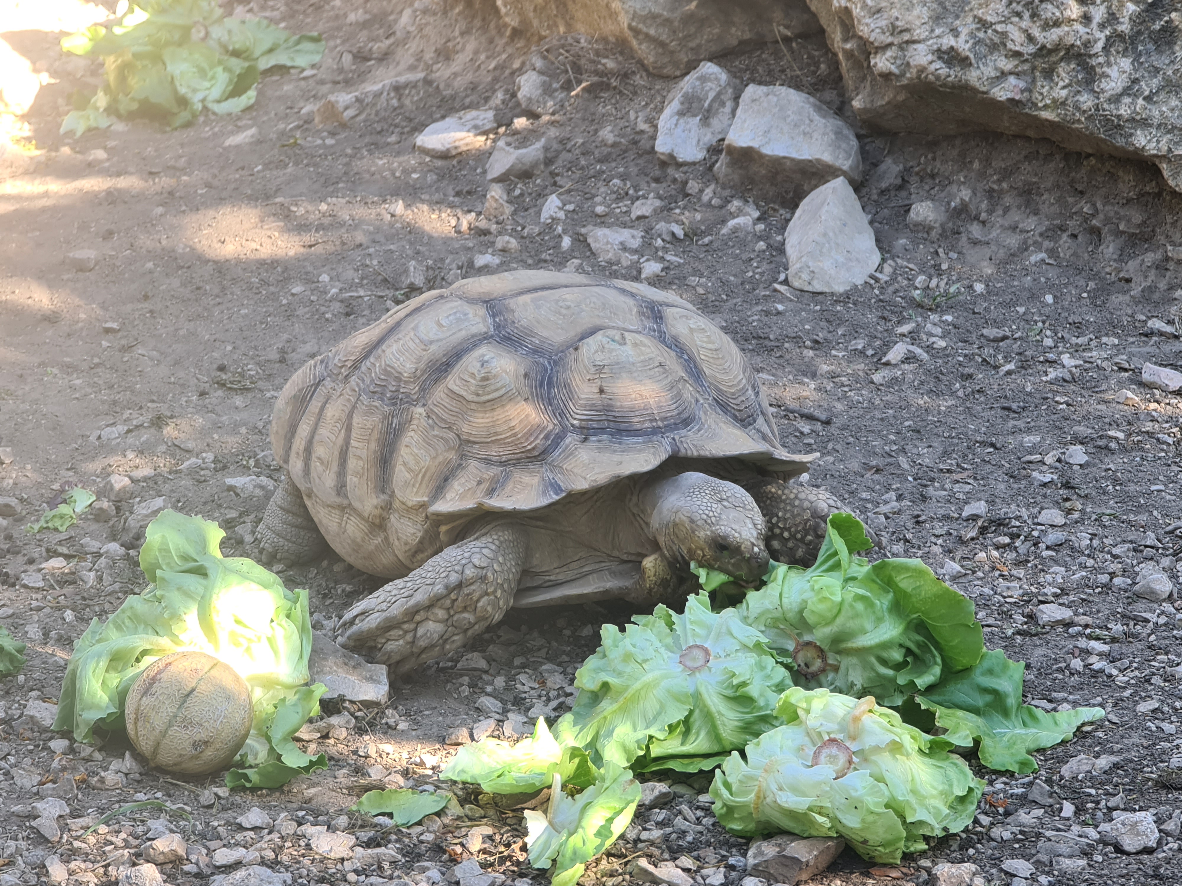 Photo n° 21 de l'avis de Thierry.o fait le 31/07/2023 à 16:57