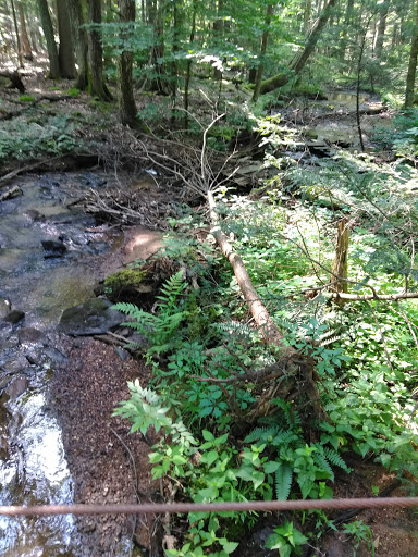 Nature Preserve «Strawberry Hill Nature Preserve», reviews and photos, 1537 Mt Hope Rd, Fairfield, PA 17320, USA