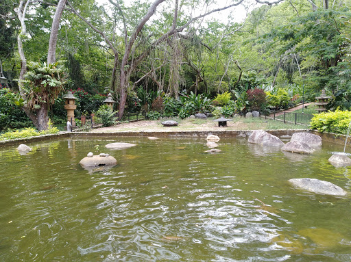 Jardín Botánico Eloy Valenzuela