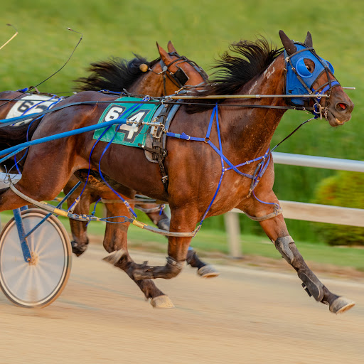 Casino «Running Aces Casino & Racetrack», reviews and photos, 15201 Zurich St, Columbus, MN 55025, USA