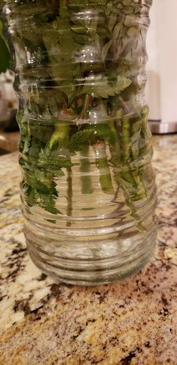 Florist «Flowers by Renee of Garden City», reviews and photos, 27505 Ford Rd, Garden City, MI 48135, USA