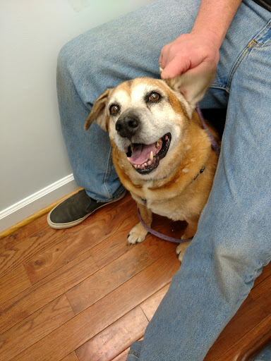 Lovingston Veterinary Hospital image