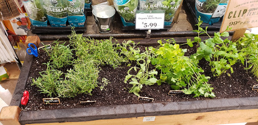 Grocery Store «Lowes Foods of Ocean Isle Beach», reviews and photos, 6278 Beach Dr SW #5, Ocean Isle Beach, NC 28469, USA