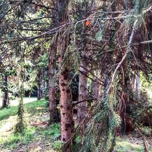 Park «High Bridge Park North», reviews and photos, 476 Smith Ave S, St Paul, MN 55102, USA