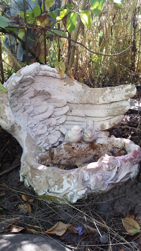 Gift Shop «Rose & Thorn», reviews and photos, 10050 Bodega Hwy, Sebastopol, CA 95472, USA