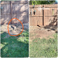 4 Seasons Tree Service - Photo 2 - Car repair in Springfield, MO, Springfield