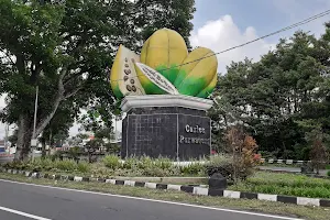 Carica And Giant statue Purwaceng image