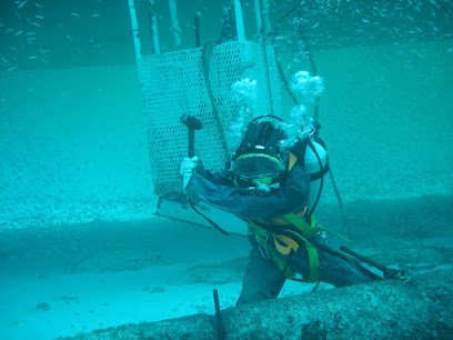 Commercial Dive Academy