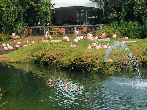 Zoo «Brevard Zoo», reviews and photos, 8225 N Wickham Rd, Melbourne, FL 32940, USA