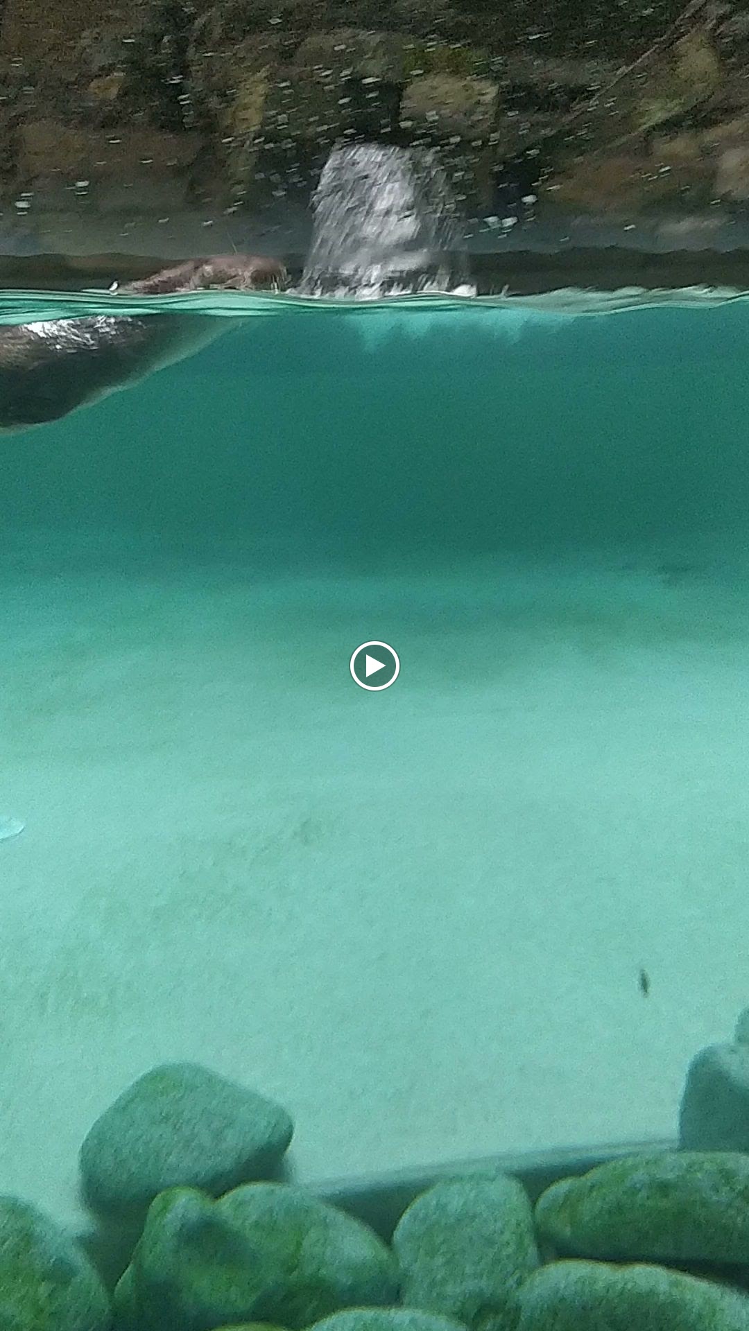 Photo n° 9 de l'avis de Raphael.. fait le 27/08/2023 à 16:43