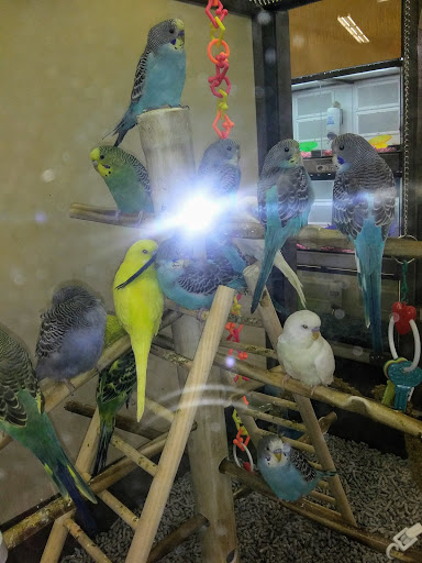 Pet Supply Store «Petco Animal Supplies», reviews and photos, 10225 Ocean Hwy #501, Pawleys Island, SC 29585, USA