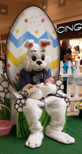 Book Store «Books-A-Million», reviews and photos, 3501 N Granville Ave, Muncie, IN 47303, USA