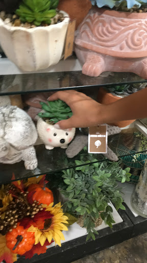 Department Store «HomeGoods», reviews and photos, 4664 Millenia Plaza Way, Orlando, FL 32839, USA