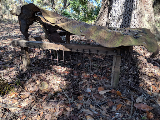 Nature Preserve «Conner Preserve», reviews and photos, 22500 FL-52, Land O Lakes, FL 34637, USA