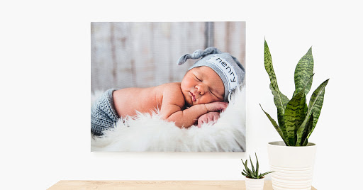 Photo Lab «Nations Photo Lab», reviews and photos, 11103 Pepper Rd, Cockeysville, MD 21030, USA