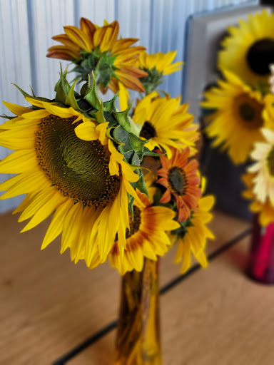 Amusement Center «Stanley Pond Adventure Farm», reviews and photos, 15426 County Rd 48, Astatula, FL 34705, USA