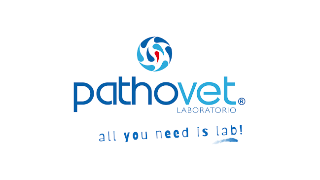 Opiniones de Laboratorio Pathovet en Puerto Montt - Laboratorio