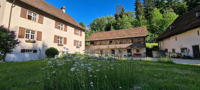 Hotel Restaurant Neumühle - Delsberg