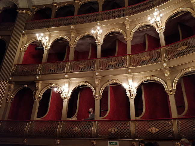 Teatro Municipal Sá de Miranda