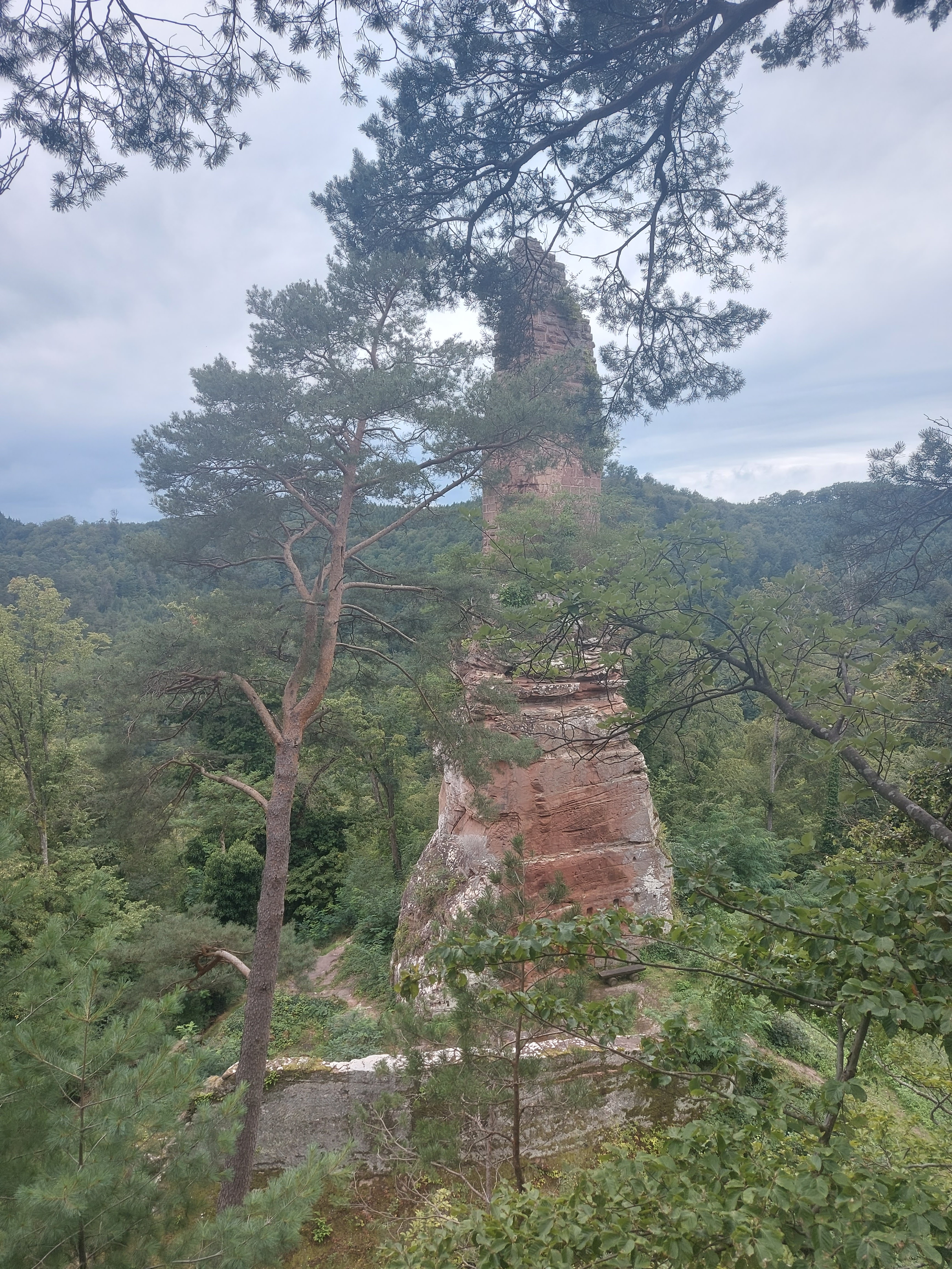 Photo n° 1 de l'avis de Marie-Luise.e fait le 04/09/2023 à 13:59