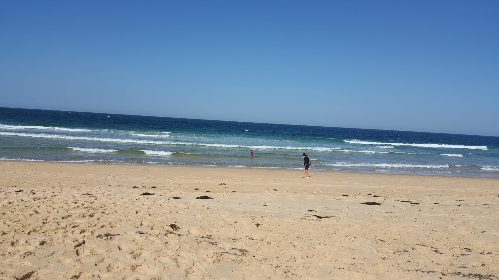 Photo de South Head Beach avec rivage droit, long