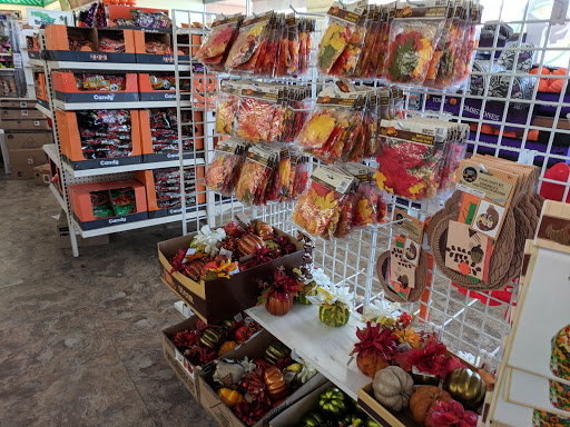 Dollar Store «Dollar Tree», reviews and photos, 3024 El Camino Real, Santa Clara, CA 95051, USA