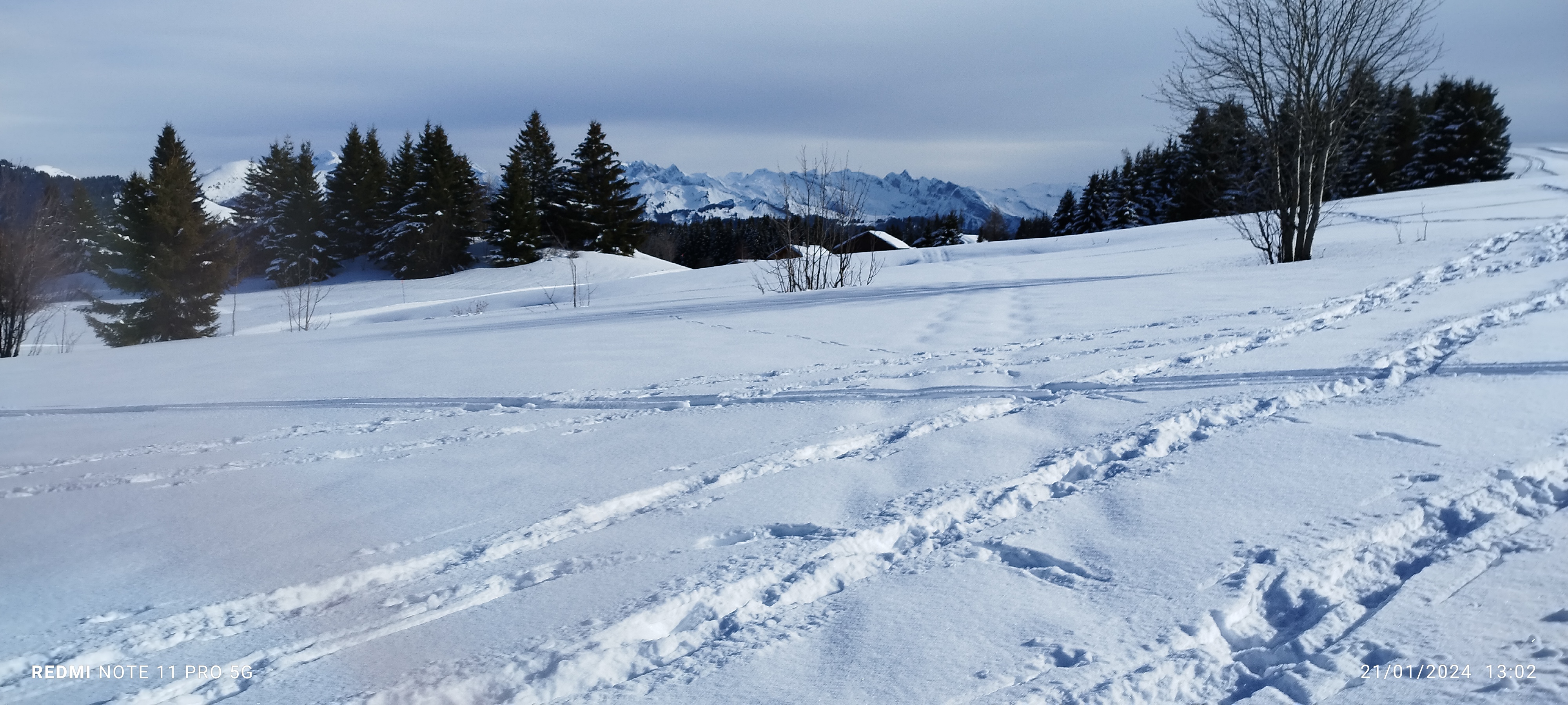Photo n° 10 de l'avis de marie-laure.o fait le 22/01/2024 à 13:20